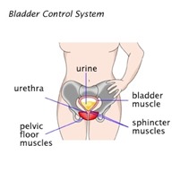 doctor in nyc for Urinary incontinence in men p01