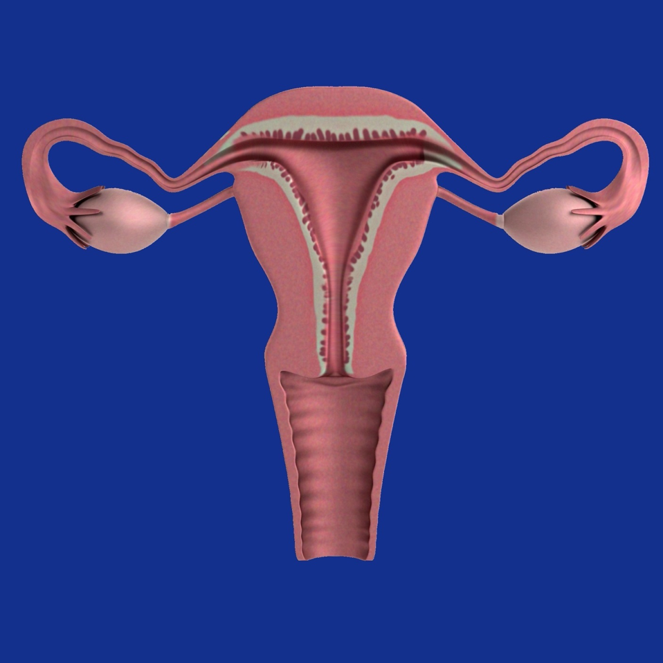 Prolapsed uterus - symptoms and treatment